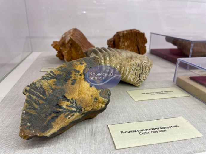 Exhibits include ancient household items. Photo: Crimean Wind on Telegram