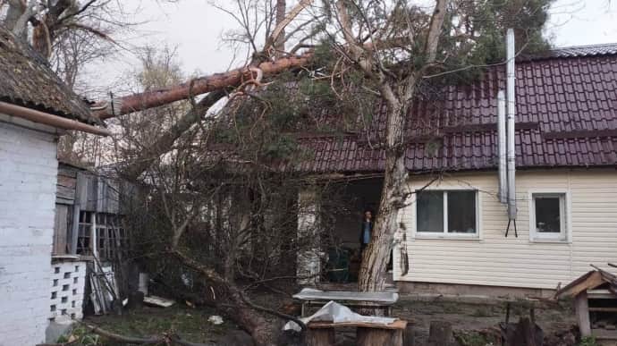 По Украине прошелся шквальный ветер: без света 276 населенных пунктов