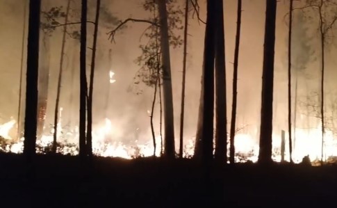 Рятувальники показали відео пожеж у Зоні відчуження та на Житомирщині