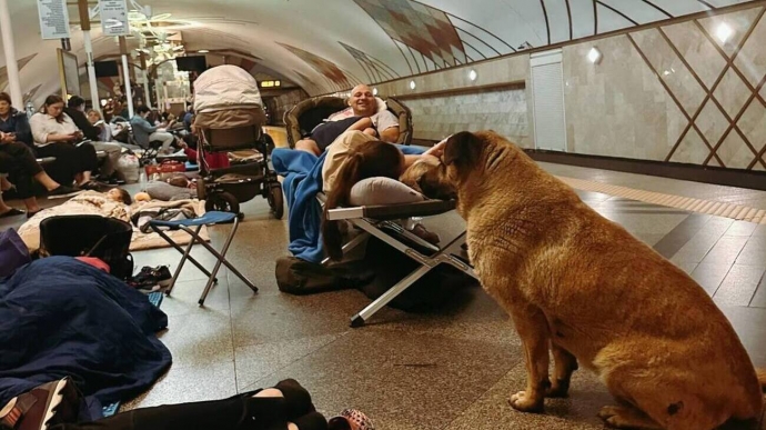 Zwerfhonden verstopten zich in de metro naast mensen tijdens Russische nachtelijke aanval op Kyiv - foto's