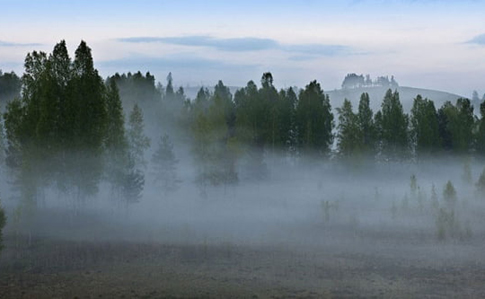 Понедельник половина Украины встретит с дождем и туманами