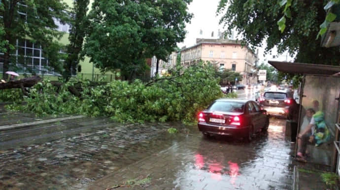 Буря у Львові повалила дерева та обірвала електродроти