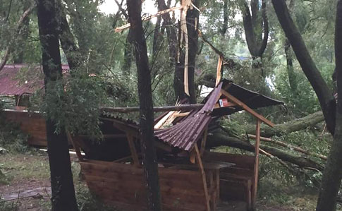 Буря у Києві та області повалила дерева і потрощила авто 