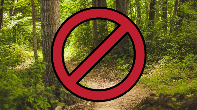 В Киевской области населению запретили ходить и въезжать в лес
