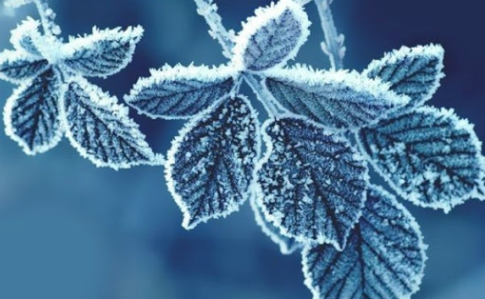 В Україні місцями похолоднішає до 14° морозу