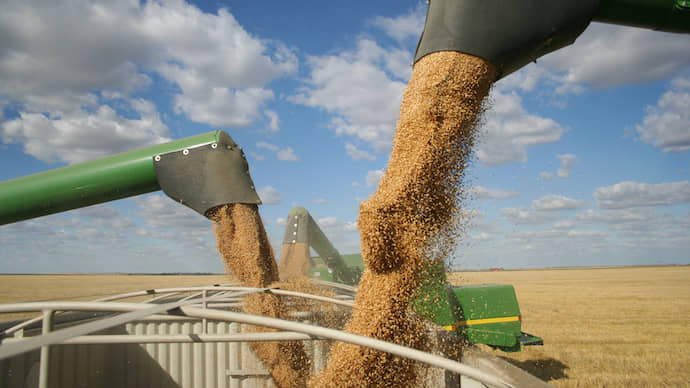 Baltic countries propose EU ban on Russian grain imports