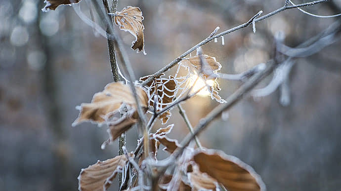В Україну повертається мороз, у суботі на півдні і сході очікують сніг з дощем 