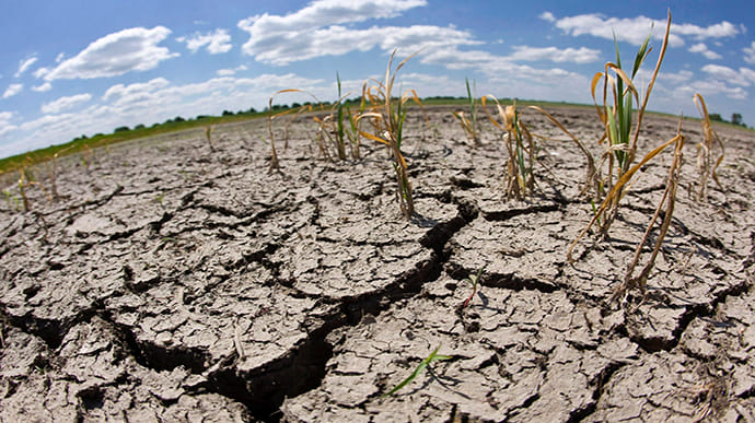 Голова Одеської ОДА повідомляє про найсильнішу посуху з 1947 року