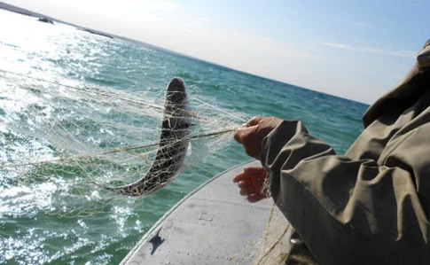 Українські рибалки побоюються провокацій РФ біля берегів Криму
