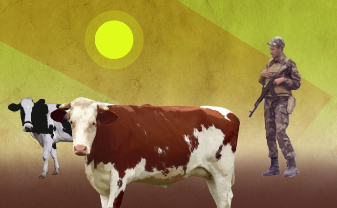 Хроніка 23 червня. Військовим пропонують розводити корів, в Україну прилетів Папа Римський