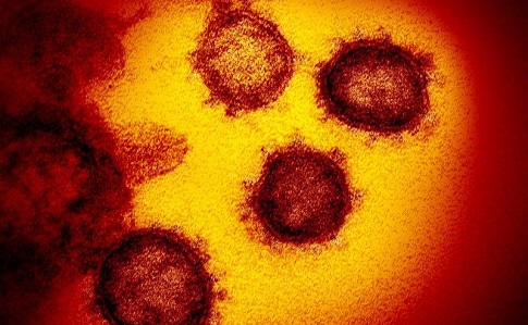Діагностованих випадків захворювання на коронавірус вже понад 700 тисяч