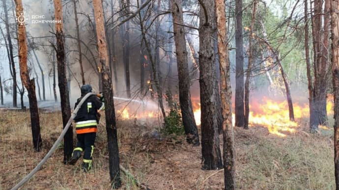 Рятувальники п'ять діб гасять пожежу у Національному парку Святі гори на Донеччині