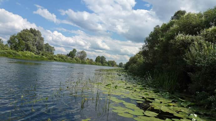 Повторное загрязнение движется по руслу реки Сейм – Минприроды