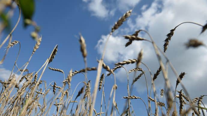 Словакия считает приемлемым план Украины по экспорту зерна