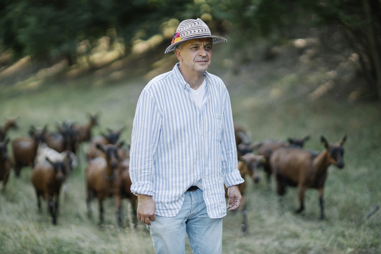 Олександр Лукач – молодий фермер, який після десятиліть роботи в інших сферах захотів працювати у селі, пасти кіз і створювати своїми руками молочні продукти.