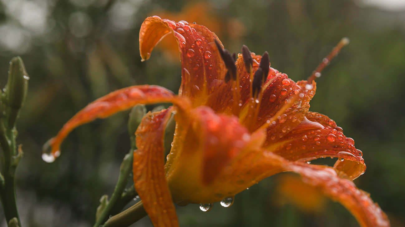 In Ukraine it will rain but will be warm