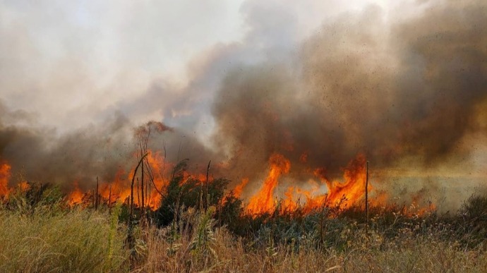 Двое военных получили ожоги во время тушения лесных пожаров – ООС