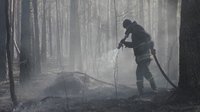 Лісові пожежі у Київській та Житомирській областях локалізували – ДСНС