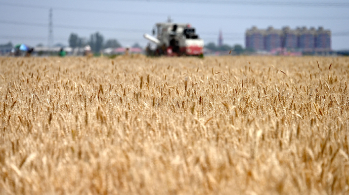Еврокомиссия запретила импорт отдельных агротоваров из Украины после давления пяти государств ЕС