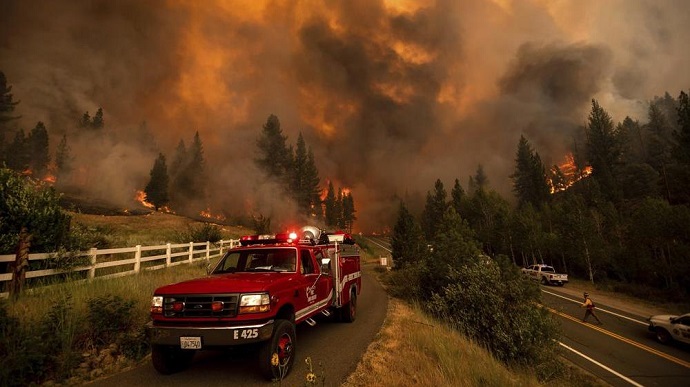 У Штатах через масштабні пожежі вигоріло понад 400 тисяч га лісів