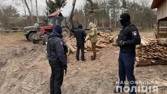 На Волыни проводят массовые обыски по незаконной порубке леса