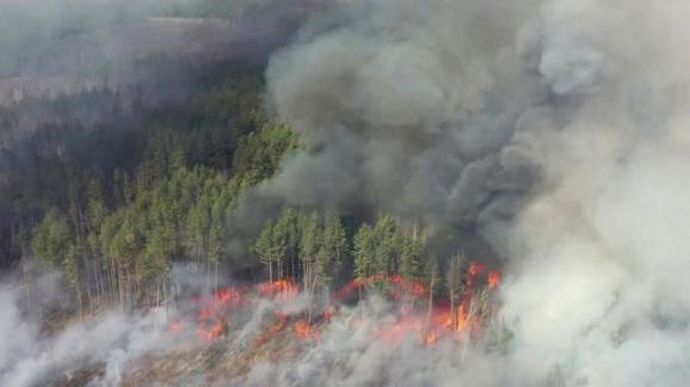 Поджигателя оштрафовали на 175 тысяч из-за лесного пожара