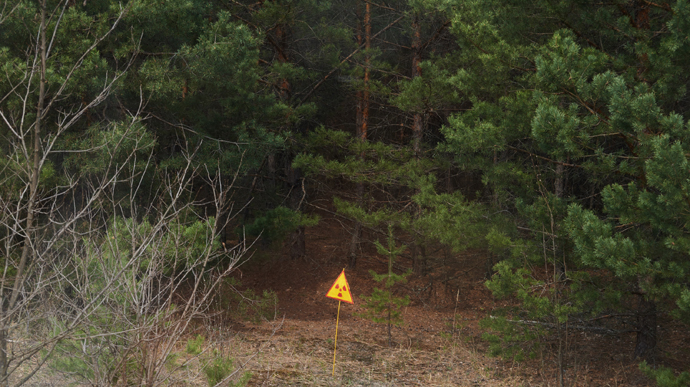 Reuters: Росіяни катаються Рудим лісом у Чорнобилі – працівники називають це самогубством