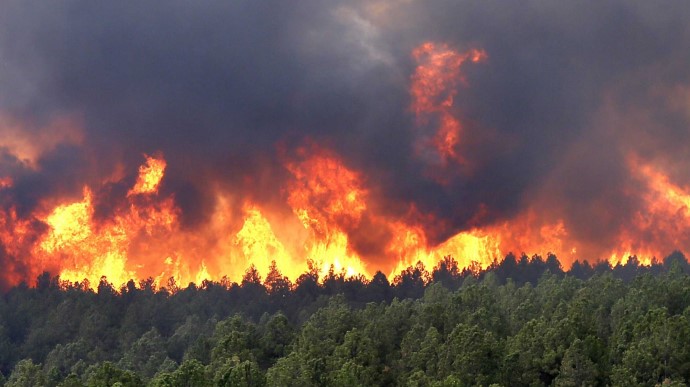 До 20 тысяч за лесной пожар: Рада подняла штрафы поджигателям экосистем