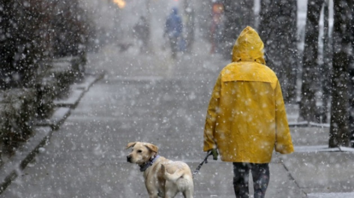 Снег и дождь: синоптики показали погоду до конца недели