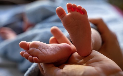 Київську клініку викрили на продажі немовлят за кордон
