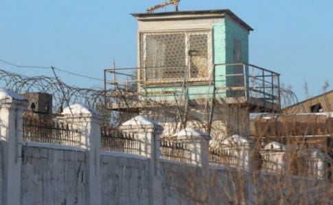 Двоє в’язнів втекли з колонії на Житомирщині