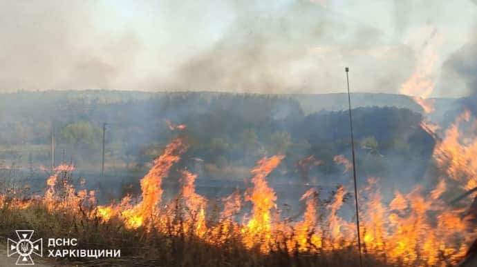 На Харьковщине бушует масштабный лесной пожар: эвакуировали село, тушат 275 спасателей 