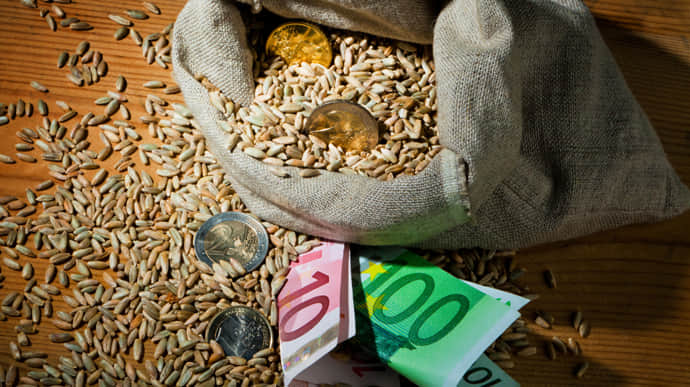 ЕС согласовал выплату 100 млн евро 5 странам, пострадавшим от наплыва зерна из Украины