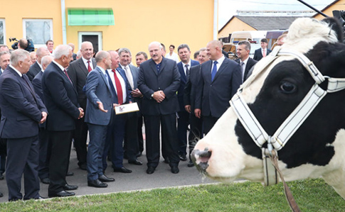 Лукашенко поувольнял чиновников из-за обосранных коров
