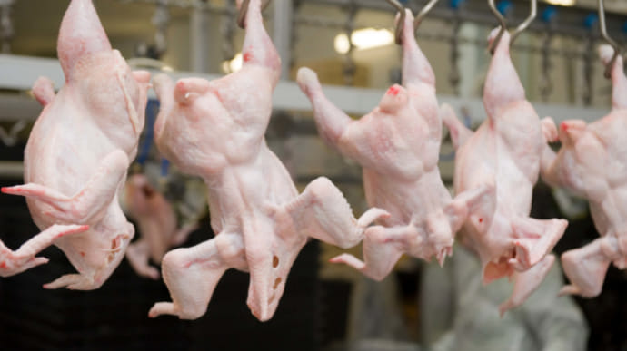 Украина возобновляет экспорт мяса птицы в ЕС
