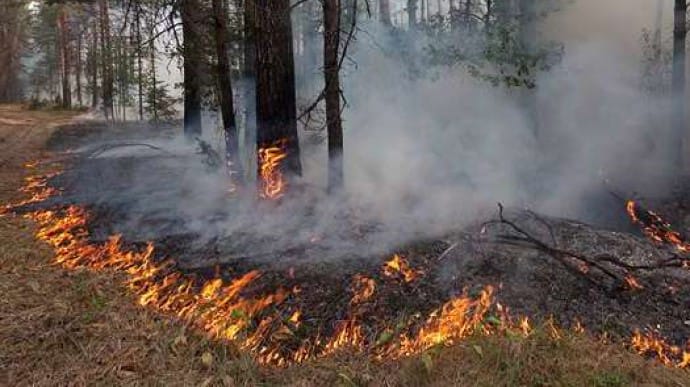 Крупный лесной пожар вспыхнул в Черногории