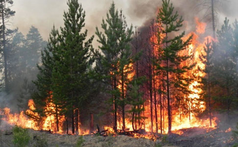 Рада посилила штрафи за пожежі в лісах